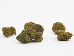 421 2 tutti frutti 20 hhc 9