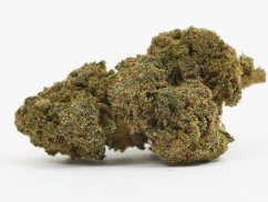 421 1 tutti frutti 20 hhc 5